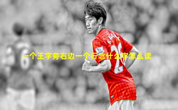 一个王字旁右边一个行念什么字怎么读