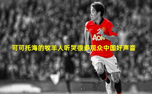 可可托海的牧羊人听哭很多观众中国好声音