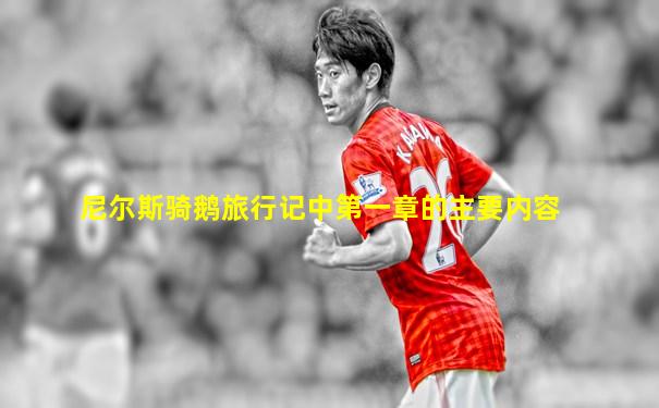 尼尔斯骑鹅旅行记中第一章的主要内容