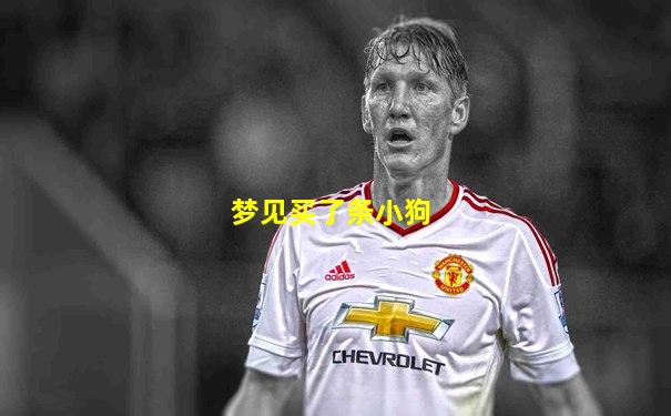 梦见买了条小狗