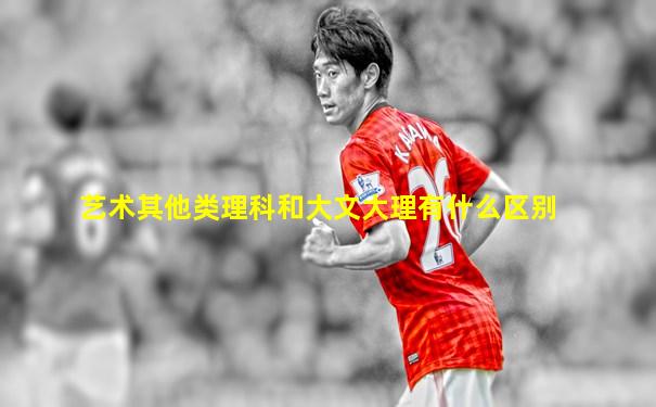 艺术其他类理科和大文大理有什么区别